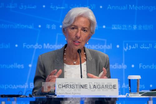 Giám đốc IMF cảnh báo về tình trạng thất nghiệp tại các nước Arab ảnh 1